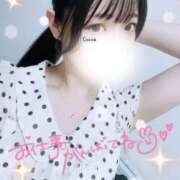 ヒメ日記 2025/09/08 07:00 投稿 心愛【ここあ】 CoCoaco(ココアコ)大阪本店