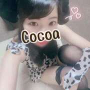 ヒメ日記 2025/09/09 15:10 投稿 心愛【ここあ】 CoCoaco(ココアコ)大阪本店