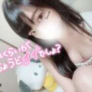 ヒメ日記 2025/09/13 22:20 投稿 心愛【ここあ】 CoCoaco(ココアコ)大阪本店