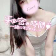 ヒメ日記 2025/09/15 19:54 投稿 心愛【ここあ】 CoCoaco(ココアコ)大阪本店