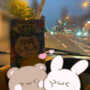 ヒメ日記 2025/09/23 05:41 投稿 心愛【ここあ】 CoCoaco(ココアコ)大阪本店