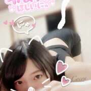 ヒメ日記 2025/09/23 13:30 投稿 心愛【ここあ】 CoCoaco(ココアコ)大阪本店