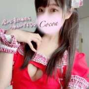 ヒメ日記 2025/09/23 21:00 投稿 心愛【ここあ】 CoCoaco(ココアコ)大阪本店