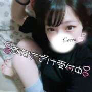 ヒメ日記 2025/09/25 00:20 投稿 心愛【ここあ】 CoCoaco(ココアコ)大阪本店