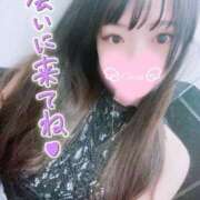 ヒメ日記 2025/09/26 07:00 投稿 心愛【ここあ】 CoCoaco(ココアコ)大阪本店