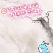 ヒメ日記 2025/09/27 21:00 投稿 心愛【ここあ】 CoCoaco(ココアコ)大阪本店