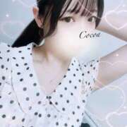 ヒメ日記 2025/09/29 15:14 投稿 心愛【ここあ】 CoCoaco(ココアコ)大阪本店