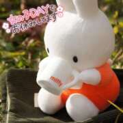 ヒメ日記 2025/10/02 15:30 投稿 心愛【ここあ】 CoCoaco(ココアコ)大阪本店