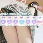 ヒメ日記 2025/10/03 17:00 投稿 心愛【ここあ】 CoCoaco(ココアコ)大阪本店