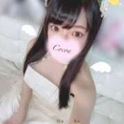 ヒメ日記 2025/10/04 10:40 投稿 心愛【ここあ】 CoCoaco(ココアコ)大阪本店