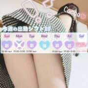 ヒメ日記 2025/10/04 16:00 投稿 心愛【ここあ】 CoCoaco(ココアコ)大阪本店