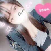 ヒメ日記 2025/10/10 23:10 投稿 心愛【ここあ】 CoCoaco(ココアコ)大阪本店