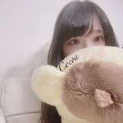 ヒメ日記 2025/10/15 18:00 投稿 心愛【ここあ】 CoCoaco(ココアコ)大阪本店