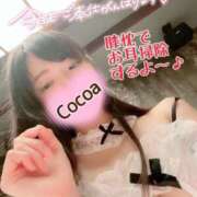 ヒメ日記 2025/10/17 23:20 投稿 心愛【ここあ】 CoCoaco(ココアコ)大阪本店