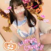 ヒメ日記 2025/10/24 00:46 投稿 心愛【ここあ】 CoCoaco(ココアコ)大阪本店