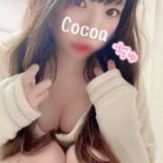 ヒメ日記 2025/10/29 19:00 投稿 心愛【ここあ】 CoCoaco(ココアコ)大阪本店