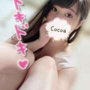 ヒメ日記 2025/10/31 20:00 投稿 心愛【ここあ】 CoCoaco(ココアコ)大阪本店
