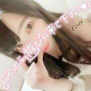 ヒメ日記 2025/11/06 00:30 投稿 心愛【ここあ】 CoCoaco(ココアコ)大阪本店