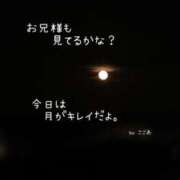 ヒメ日記 2025/11/07 01:10 投稿 心愛【ここあ】 CoCoaco(ココアコ)大阪本店