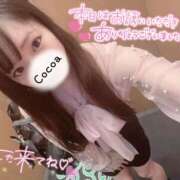 ヒメ日記 2025/11/08 03:14 投稿 心愛【ここあ】 CoCoaco(ココアコ)大阪本店