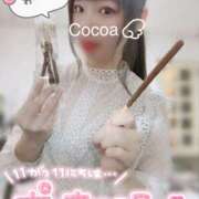 ヒメ日記 2025/11/11 21:30 投稿 心愛【ここあ】 CoCoaco(ココアコ)大阪本店