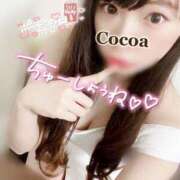 ヒメ日記 2025/11/12 08:00 投稿 心愛【ここあ】 CoCoaco(ココアコ)大阪本店