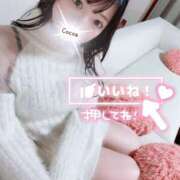 ヒメ日記 2025/11/13 07:30 投稿 心愛【ここあ】 CoCoaco(ココアコ)大阪本店