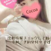 ヒメ日記 2025/11/17 07:36 投稿 心愛【ここあ】 CoCoaco(ココアコ)大阪本店