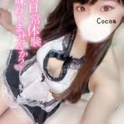 ヒメ日記 2025/11/19 22:06 投稿 心愛【ここあ】 CoCoaco(ココアコ)大阪本店