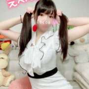 ヒメ日記 2025/11/23 12:03 投稿 心愛【ここあ】 CoCoaco(ココアコ)大阪本店