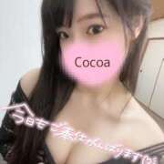 ヒメ日記 2025/11/27 21:17 投稿 心愛【ここあ】 CoCoaco(ココアコ)大阪本店