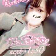 ヒメ日記 2025/11/27 23:11 投稿 心愛【ここあ】 CoCoaco(ココアコ)大阪本店