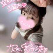 ヒメ日記 2025/12/07 17:04 投稿 心愛【ここあ】 CoCoaco(ココアコ)大阪本店