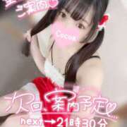 ヒメ日記 2025/12/10 20:04 投稿 心愛【ここあ】 CoCoaco(ココアコ)大阪本店