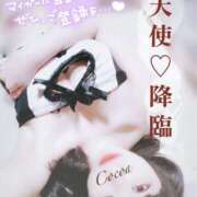 ヒメ日記 2025/12/11 19:40 投稿 心愛【ここあ】 CoCoaco(ココアコ)大阪本店