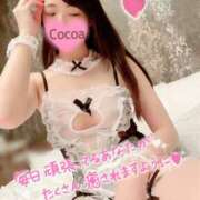 ヒメ日記 2025/12/13 01:15 投稿 心愛【ここあ】 CoCoaco(ココアコ)大阪本店