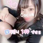 ヒメ日記 2025/12/27 02:51 投稿 心愛【ここあ】 CoCoaco(ココアコ)大阪本店