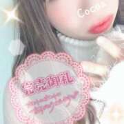 ヒメ日記 2025/12/27 19:00 投稿 心愛【ここあ】 CoCoaco(ココアコ)大阪本店