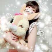 ヒメ日記 2025/12/29 02:05 投稿 心愛【ここあ】 CoCoaco(ココアコ)大阪本店