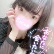 ヒメ日記 2026/01/03 12:00 投稿 心愛【ここあ】 CoCoaco(ココアコ)大阪本店