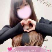 ヒメ日記 2026/01/09 13:00 投稿 心愛【ここあ】 CoCoaco(ココアコ)大阪本店