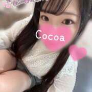 ヒメ日記 2026/01/17 22:31 投稿 心愛【ここあ】 CoCoaco(ココアコ)大阪本店