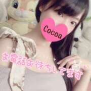 ヒメ日記 2026/01/27 19:42 投稿 心愛【ここあ】 CoCoaco(ココアコ)大阪本店