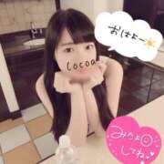 ヒメ日記 2026/01/29 07:30 投稿 心愛【ここあ】 CoCoaco(ココアコ)大阪本店