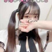 ヒメ日記 2026/01/29 22:33 投稿 心愛【ここあ】 CoCoaco(ココアコ)大阪本店
