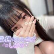 ヒメ日記 2026/01/30 19:47 投稿 心愛【ここあ】 CoCoaco(ココアコ)大阪本店