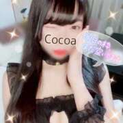 ヒメ日記 2026/02/01 20:03 投稿 心愛【ここあ】 CoCoaco(ココアコ)大阪本店