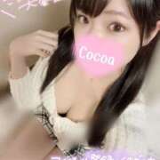 ヒメ日記 2026/02/06 23:23 投稿 心愛【ここあ】 CoCoaco(ココアコ)大阪本店