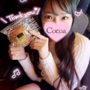 ヒメ日記 2026/02/14 04:00 投稿 心愛【ここあ】 CoCoaco(ココアコ)大阪本店