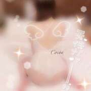 ヒメ日記 2026/02/14 23:36 投稿 心愛【ここあ】 CoCoaco(ココアコ)大阪本店